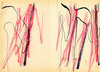 Sans titre, 1997.