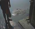 Sculpture-Varanasi, 2006.