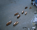 Situation-Lucknow, 2006.