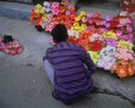 Fleurs-Thiruvananthapuram, 2007.