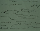 Skizze « Mur-Salé », 2004.