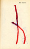 Sans titre, 1994.