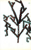 Sans titre, 1995.