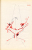 Sans titre, 1996.