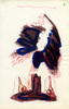 Sans titre, 1997.