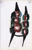 Sans titre, 1997.