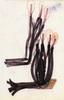 Sans titre, 1997.