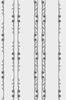 Grisaille N°156, 2003