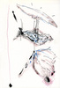 Sans titre, 1998.