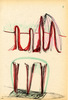 Sans titre, 1999.
