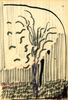 Sans titre, 1999.