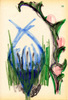 Sans titre, 1999.