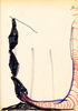 Sans titre, 1999.